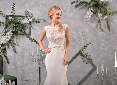 Model_195