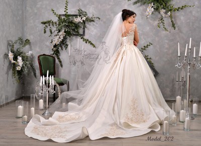 Model_202_1