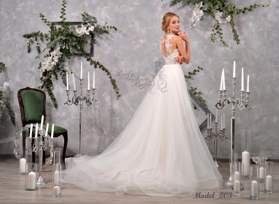 Model_203