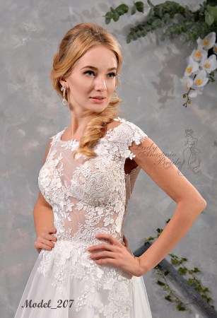 Model_207_1