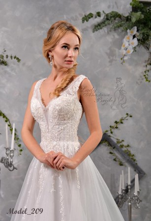 Model_209