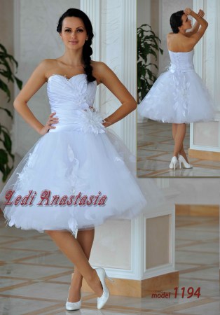 model_1194